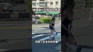 請禮讓行人穿越馬路,友善寵物用路環境  #shorts