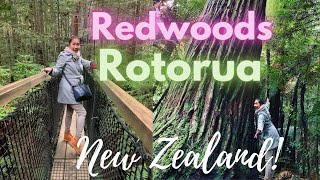 The Best Things to do in Redwoods Rotorua, New Zealand