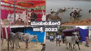 ಮುಡುಕುತೋರೆ ಜಾತ್ರೆ | Mudukutore Jatre 2023|cattle fair 2023