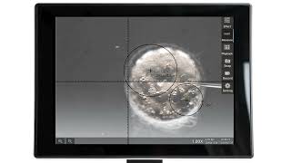 SLS Lab Basics 5MP Tablet Microscope Camera
