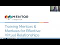 best practices for e mentoring