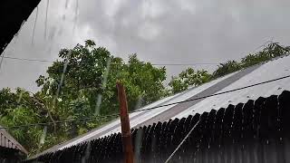 ঝুম বৃষ্টি 🌧️🌧️🌧️