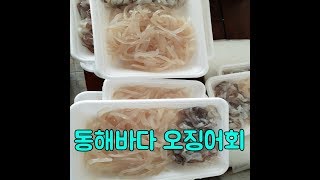 싱싱한 동해바다 오징어회를 수산물직배송으로 주문했는데 가성비 최고~~