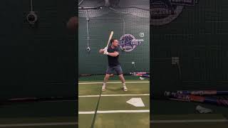Alex Bregman Swing
