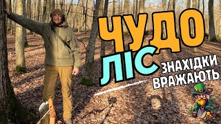 Чудо Ліс! Знахідки вражають! Коп з Xp Deus2!