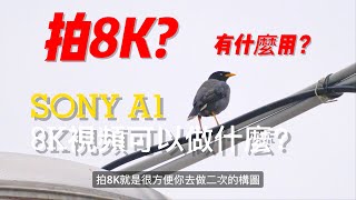 Sony A1 拍8K有什麼用這個就是用途