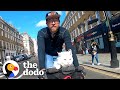 Deaf Cat Loves Riding Around London With Her Dad | The Dodo Cat Crazy