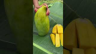 Big Mango #mango