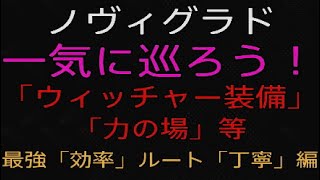 ノヴィグラド　一気に巡る「ウィッチャー装備」「力の場」　最強効率ルート「丁寧」編　ウィッチャー３　PS5　世界一丁寧なプレイ動画　「黒狼」　デスマーチ