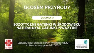 Egzotyczne gatunki w środowisku naturalnym. Gatunki inwazyjne