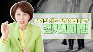 걷기만 해도 장수 포인트가 쌓인다! 사소하지만 위대한 걷기의 마법!