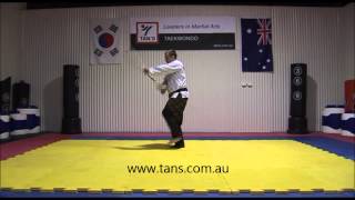 Tans Hapkido - W5 Long stick pattern 1 to 4