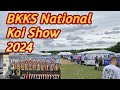 BKKS National Koi Show 2024 #koi #koipond #bkks