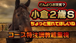 《最終決断予想》小倉２歳Ｓ2022〘11BET〙天気次第も中穴～穴狙いのイレブンベットで勝負