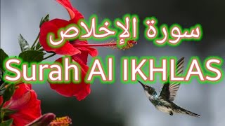 Surah Al IIKHLAS 100 times                 سورة الاخلاص 100 مرة