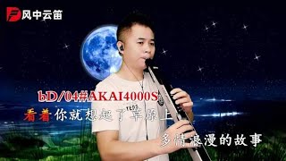 电吹管一曲《月光草原》，浪漫迷人的夜晚，听醉在草原