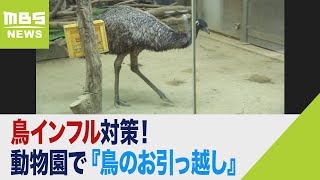 鳥インフル対策！動物園で『鳥のお引っ越し』感染拡大の要因の一つは「渡り鳥のフン」（2022年11月16日）