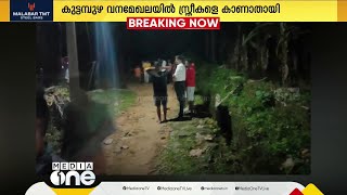 പശുവിനെ തിരഞ്ഞ് കാട്ടിലേക്ക് പോയ മൂന്ന് സ്ത്രീകളെ കാണാനില്ല; തിരച്ചിൽ തുടരുന്നു