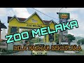 ZOO MELAKA Tempat Menarik Melaka - Macam Macam Ada