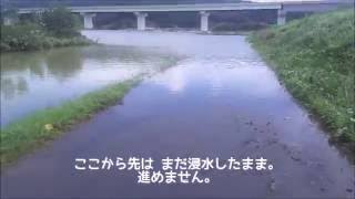 台風一過　浸水から一夜明けた道路上には　２０１６年１６号