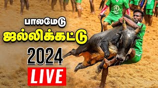 🔴Palamedu Jallikattu Live 2024 | பாலமேடு ஜல்லிக்கட்டு நேரலை