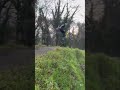 Funny crash #bike #mtb #shorts #crazy #crash #fail #jump #satisfying #viral #bmx #biking #skatepark