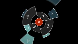 How Symmetry Shapes Nature’s Laws