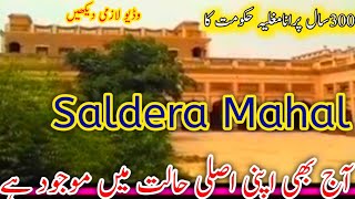 Saldera Mahal Burewala | Faheem Rana Vlogs || Olid Mahal Burewala