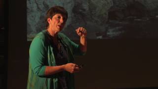 Thinking Global, Acting Local | Jane Davidson | TEDxSwansea