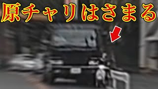 【ドラレコ映像】危険なバイク！信号無視BBA！事故を引き起こす危険運転【交通安全推進、危険予知トレーニング】