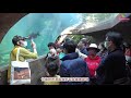 動物園加強防疫~讓民眾安心遊園