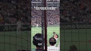 ナイスキャッチ #巨人 #吉川尚輝 #岡本和真 #横浜denaベイスターズ  #プロ野球