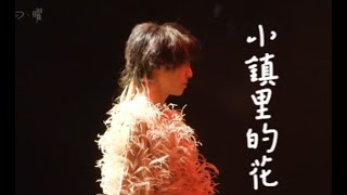 【HuaChenYu华晨宇】《小镇里的花》（2023火星演唱会5 2成都站晚上场）