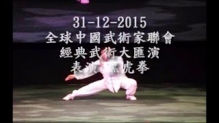 少林黑虎門 王銳勳 師父  全球中國武術家聯會 經典武術大匯演 表演 黑虎拳