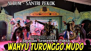 Jaranan Dangdut Kreasi Senterewe Putra WAHYU TURONGGO MUDO Live Tretek Tulungagung//Jaya Baru audio