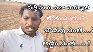 పత్తి పంట సాగు చేసే విధానం Cotton cultivation method #cottonseed       #how to coltivations cotton