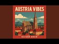 Vienna Party
