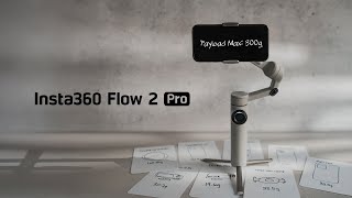 Insta360 Flow 2 Pro: Testing the Payload