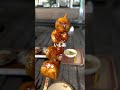 何度でも行きたくなる…🍢 グルメ おすすめ 群馬県