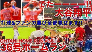 超特大36号2ランホームラン‼【観客総立ち】大谷翔平が放ったホームランにファンが大歓喜！ホームランボールを取った男性よ、おめでとう！SHOHEI OHTANI HOME RUN #36 07.27