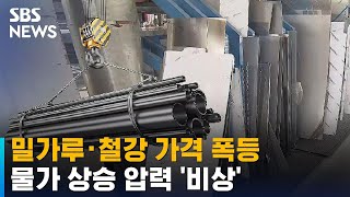 밀가루 · 철강 가격 폭등…물가 상승 압력 '비상' / SBS