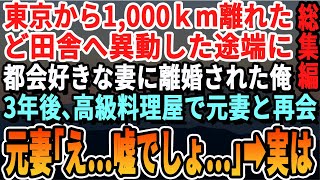 【感動☆厳選7本総集編】東京から1,000キロ離れた田舎へ異動になった大手企業勤務の俺。妻に異動を伝えると「左遷されるとか無理w離婚ねw」→3年後、高級日本料理屋で元妻と再会すると...【いい話・泣け