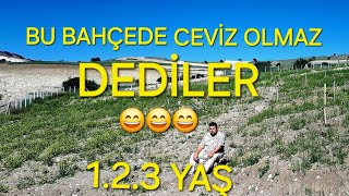 BU BAHÇEDE CEVİZ OLMAZ DEDİLER 😄😄