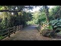 本日の末吉公園 空と森