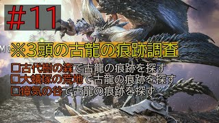 【MHW/モンハンワールド】無言配信　#11【古龍の痕跡調査❢】