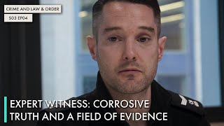 Expert Witness: Corrosive Truth and A Field of Evidence