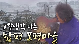 한옥에서 느끼는 고향의 맛, 함평 모평마을 [전국시대]