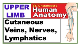 Chp7 BDC Vol1 | Upper Limb | Cutaneous Nerves, Superficial Veins and Lymphatics | Dr Asif Lectures