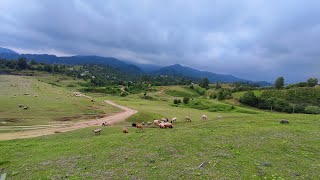 Degadi village (Astara, Azerbaijan)