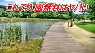 【まつど散歩】21世紀の森と広場 #9千駄堀池（西側）沿いを歩く→自然観察舎